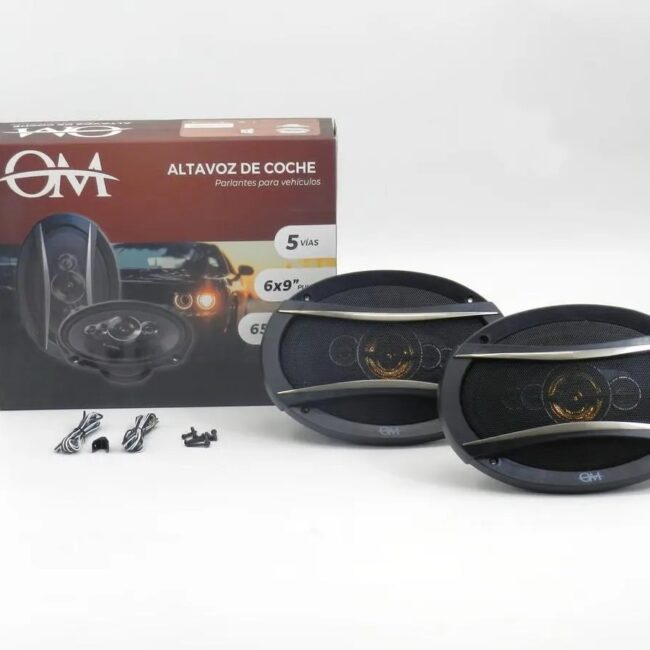PARLANTE 6X9 5 VÍAS 650W